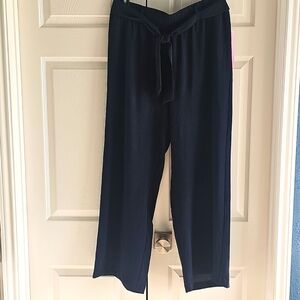 NWT New York Clothing CO Wide Leg Pull On Belted W Tie Petite Large (PL) Navy